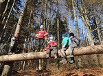 Aktuelles vom 03.03.2017