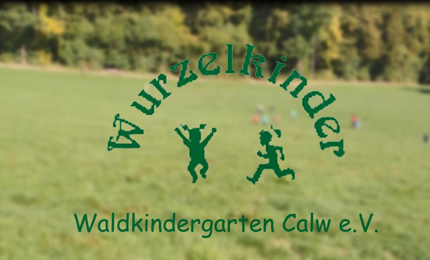 2. Film vom Waldkindergarten Wurzelkinder Calw e.V.