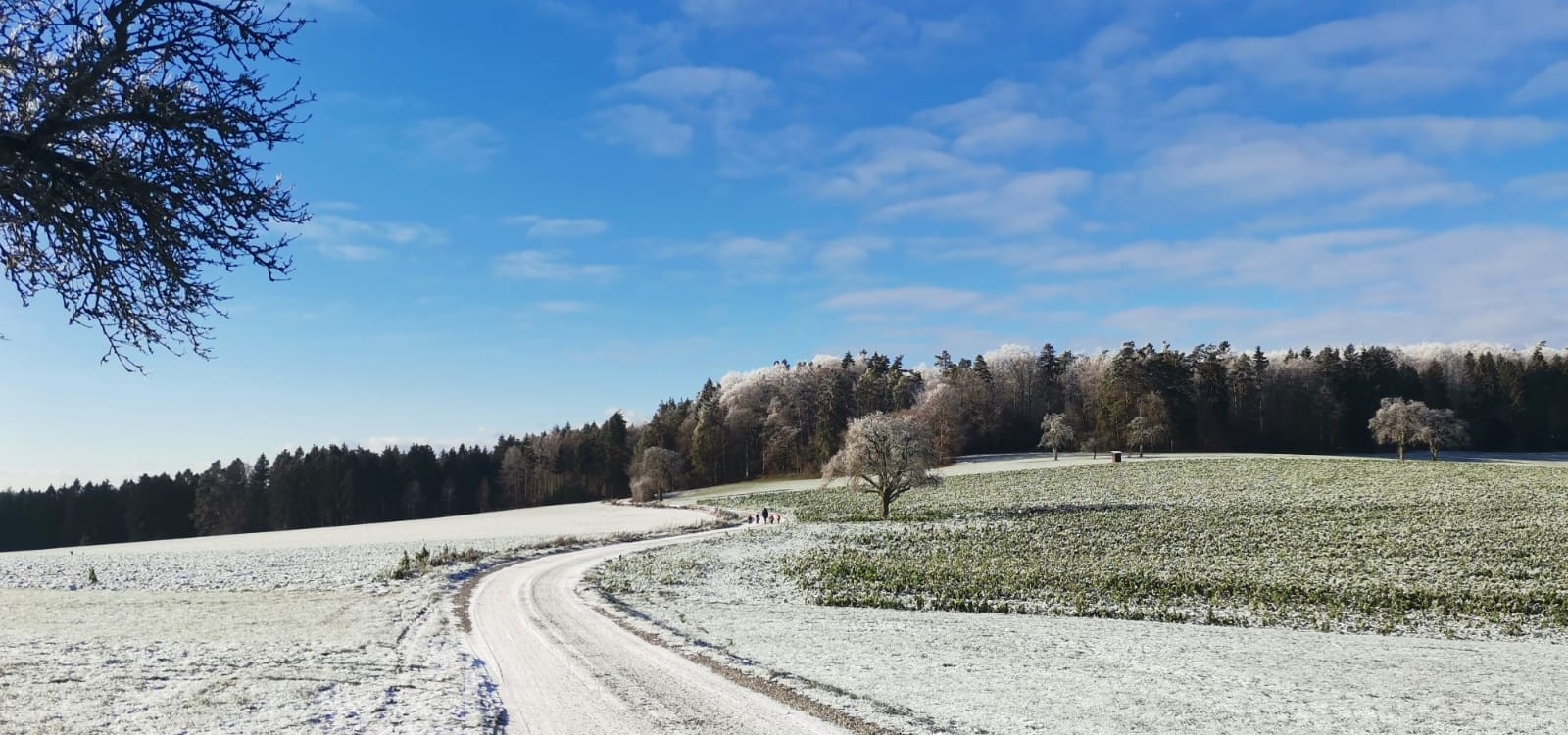 Winter Winter